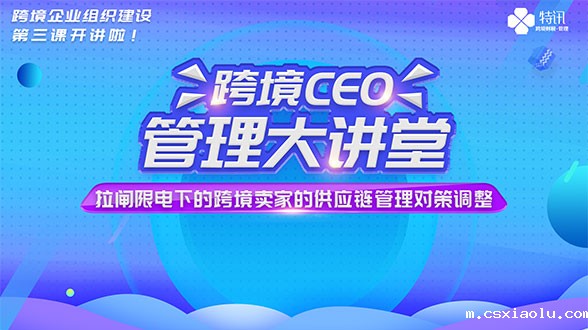 拉闸限电下的跨境卖家的供应链管理对策调整（第三期）